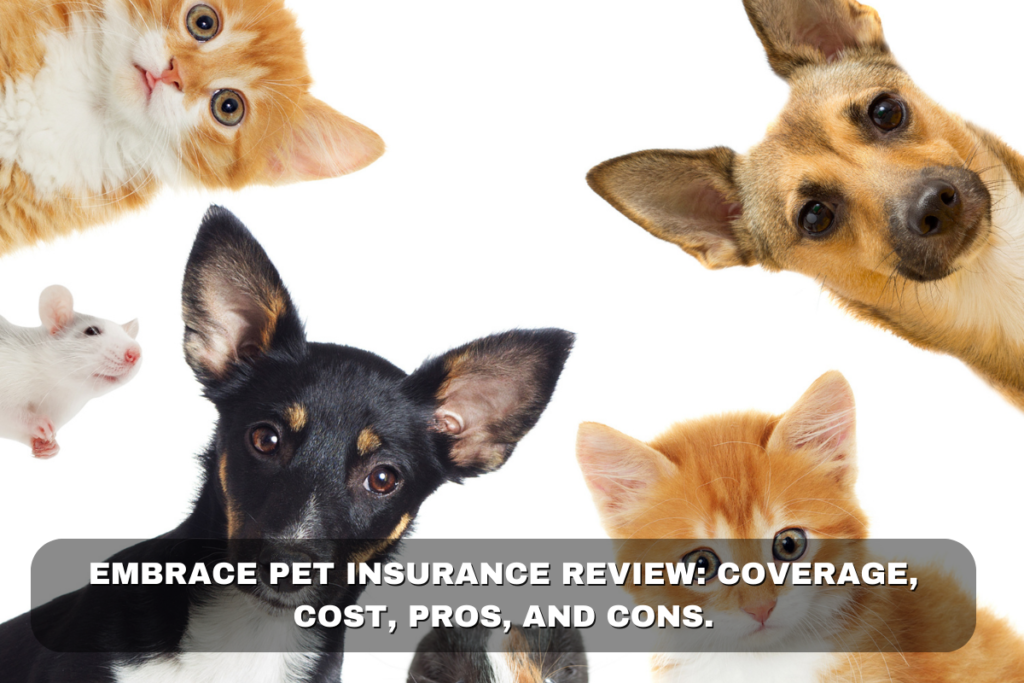 Embrace Pet Insurance Review: Coverage, Cost, Pros, and Cons. 