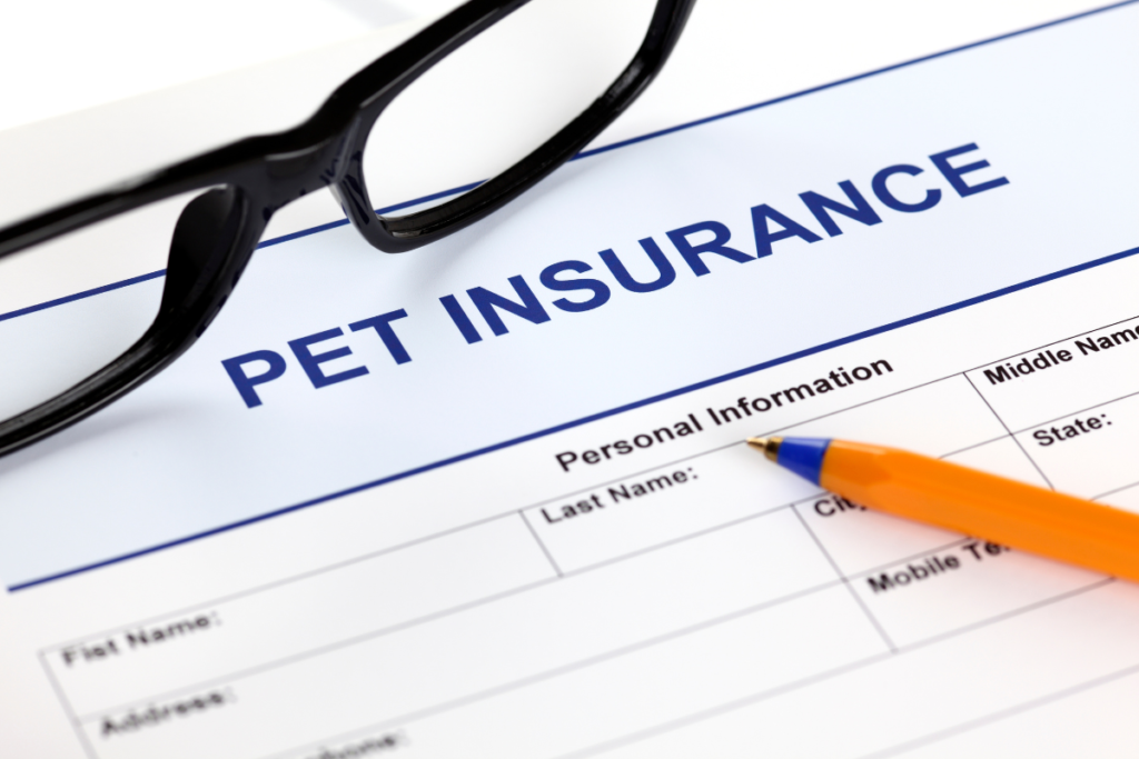 Embrace Pet Insurance Review 