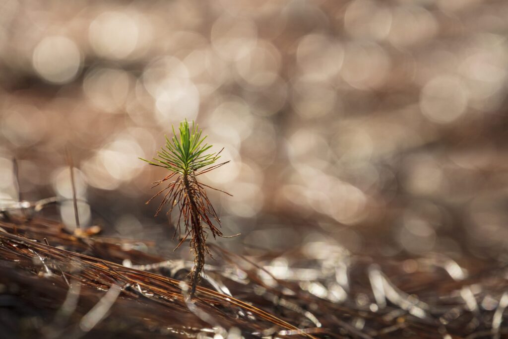 5 predictions for the insurance industry in 2025 | Insurance Blog